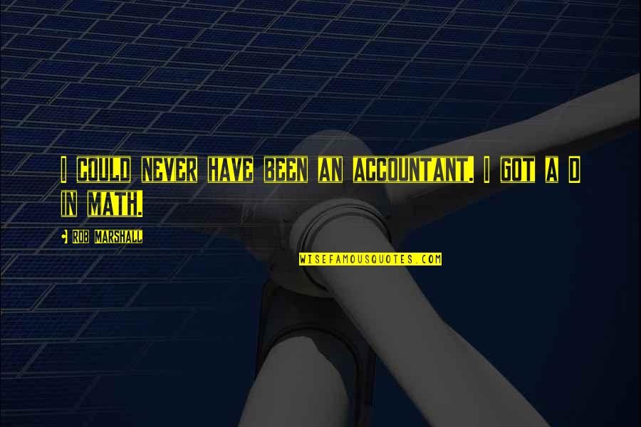 Testudine Quotes By Rob Marshall: I could never have been an accountant. I Testudine Quotes By Rob Marshall: I could never have been an accountant. I