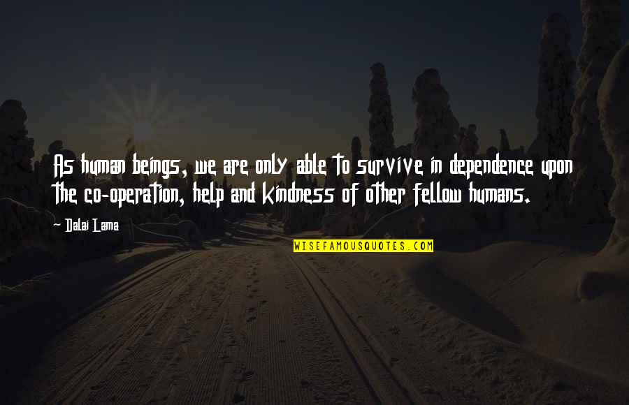 Testul Ceasului Quotes By Dalai Lama: As human beings, we are only able to