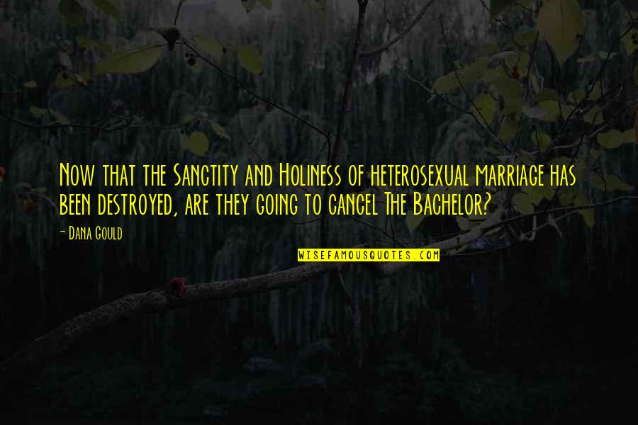 Testul Ceasului Quotes By Dana Gould: Now that the Sanctity and Holiness of heterosexual