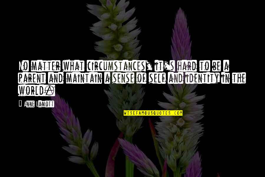 Tetangga Masa Gitu Quotes By Anne Lamott: No matter what circumstances, it's hard to be