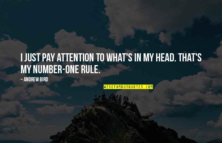 Tetradecane Quotes By Andrew Bird: I just pay attention to what's in my