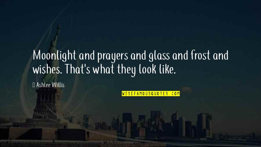 Tetsuo Akira Quotes By Ashlee Willis: Moonlight and prayers and glass and frost and