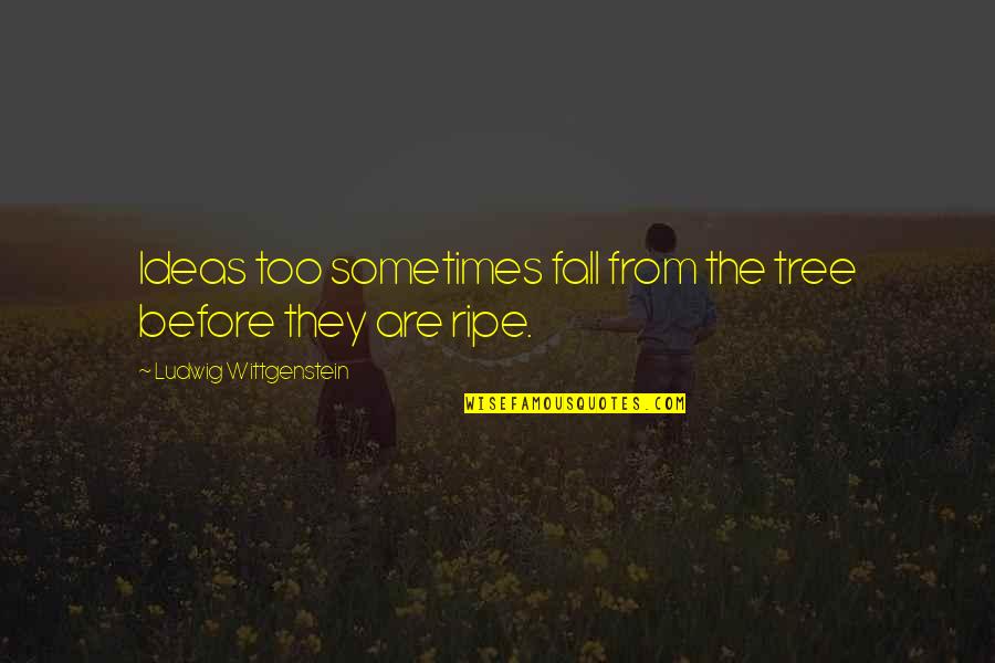 Tewodros Tadesse Quotes By Ludwig Wittgenstein: Ideas too sometimes fall from the tree before Tewodros Tadesse Quotes By Ludwig Wittgenstein: Ideas too sometimes fall from the tree before