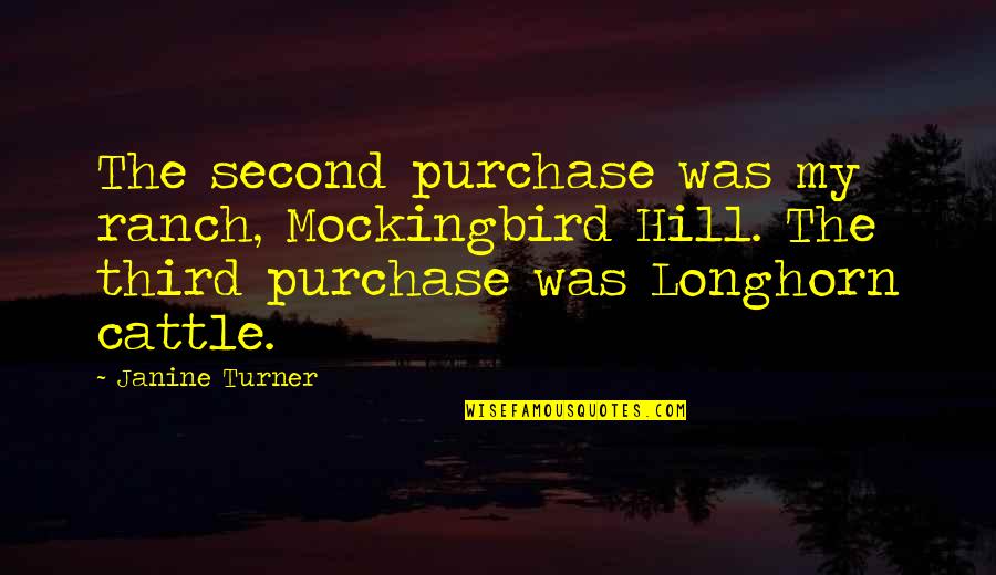 Texas Butthole Quotes By Janine Turner: The second purchase was my ranch, Mockingbird Hill.