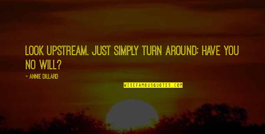 Tgh Quote Quotes By Annie Dillard: Look upstream. Just simply turn around; have you Tgh Quote Quotes By Annie Dillard: Look upstream. Just simply turn around; have you