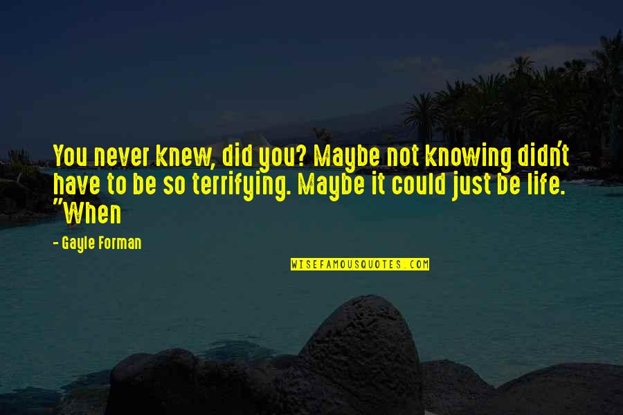 Tgit Quotes By Gayle Forman: You never knew, did you? Maybe not knowing