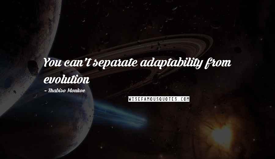 Thabiso Monkoe quotes: You can't separate adaptability from evolution