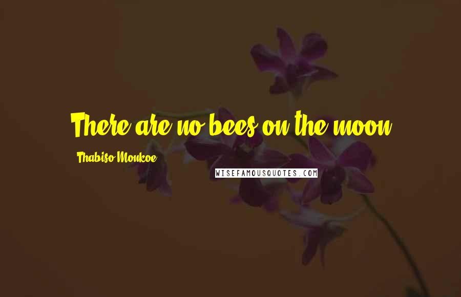 Thabiso Monkoe quotes: There are no bees on the moon