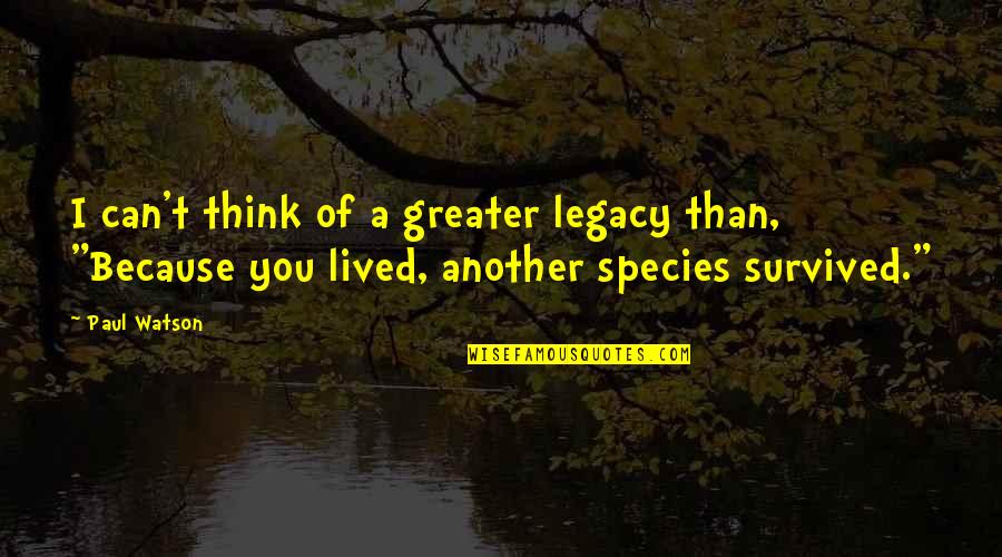 Thackston Keene Quotes By Paul Watson: I can't think of a greater legacy than, Thackston Keene Quotes By Paul Watson: I can't think of a greater legacy than,