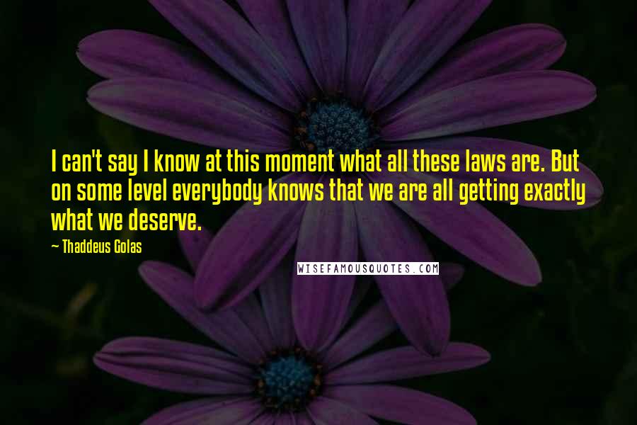 Thaddeus Golas quotes: I can't say I know at this moment what all these laws are. But on some level everybody knows that we are all getting exactly what we deserve.