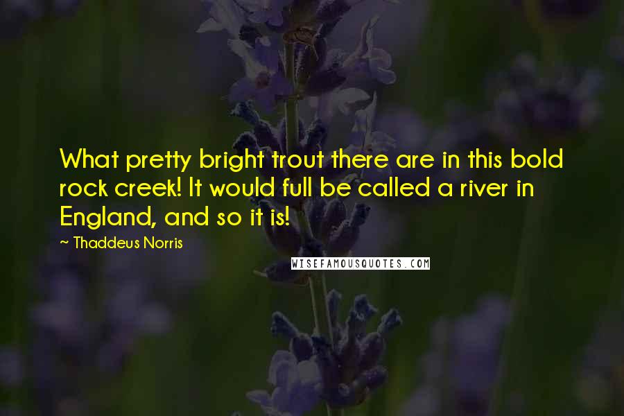 Thaddeus Norris quotes: What pretty bright trout there are in this bold rock creek! It would full be called a river in England, and so it is! Thaddeus Norris quotes: What pretty bright trout there are in this bold rock creek! It would full be called a river in England, and so it is!