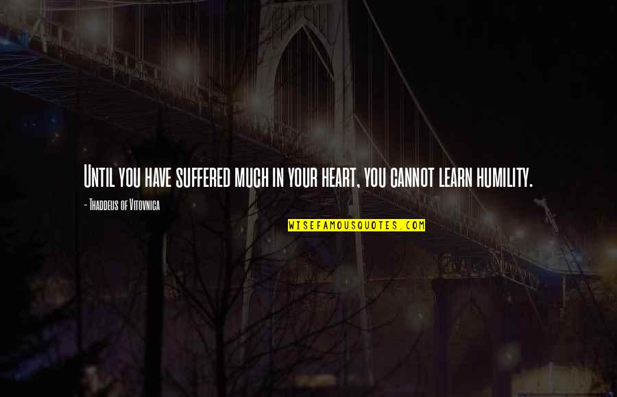 Thaddeus Of Vitovnica Quotes By Thaddeus Of Vitovnica: Until you have suffered much in your heart,