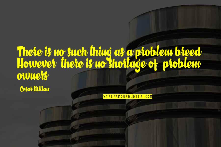 Thaddeus Stevens Reconstruction Quotes By Cesar Millan: There is no such thing as a problem
