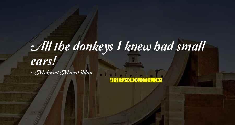 Thalatha Gbf Quotes By Mehmet Murat Ildan: All the donkeys I knew had small ears! Thalatha Gbf Quotes By Mehmet Murat Ildan: All the donkeys I knew had small ears!