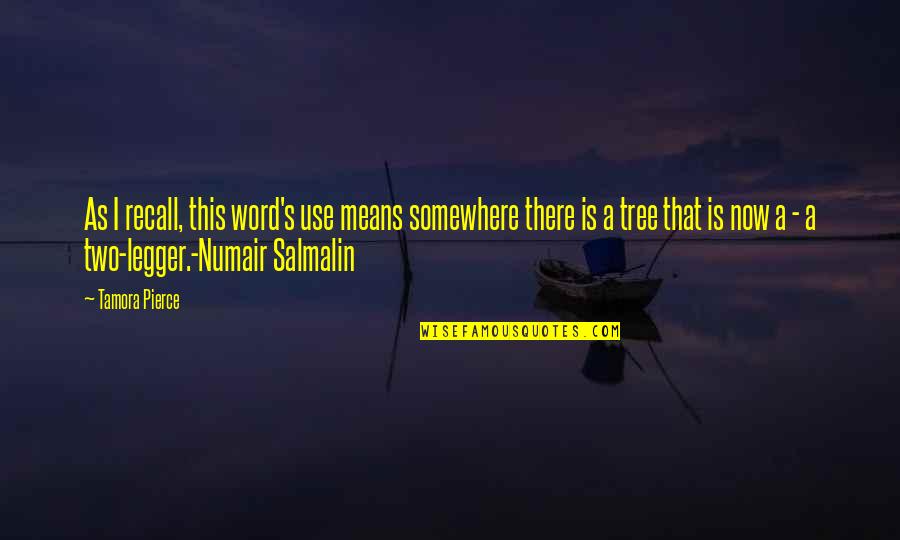 Thalatha Gbf Quotes By Tamora Pierce: As I recall, this word's use means somewhere Thalatha Gbf Quotes By Tamora Pierce: As I recall, this word's use means somewhere