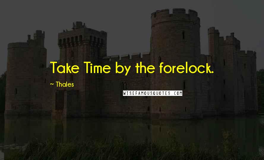 Thales quotes: Take Time by the forelock.