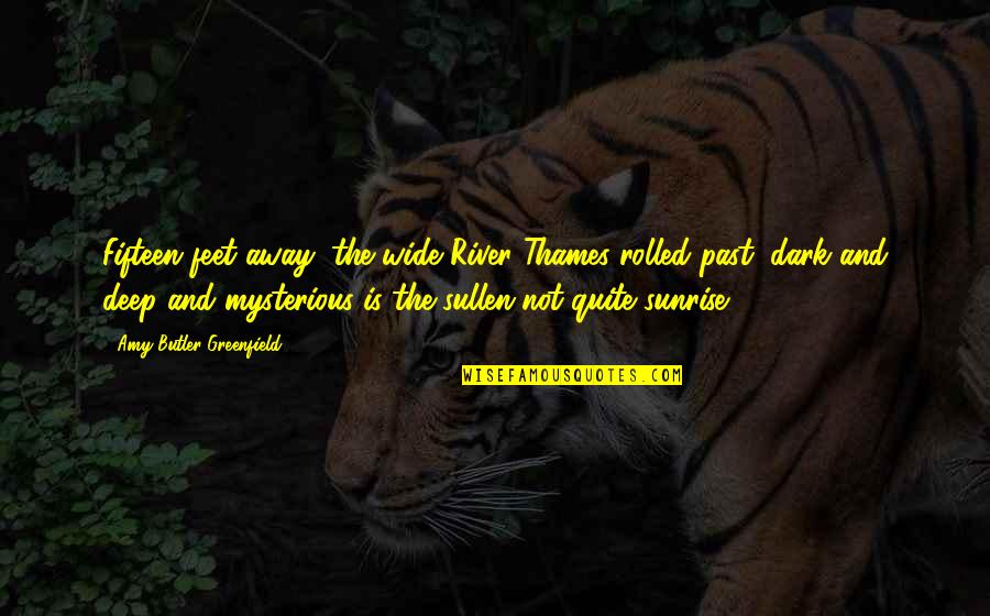 Thames Quotes By Amy Butler Greenfield: Fifteen feet away, the wide River Thames rolled Thames Quotes By Amy Butler Greenfield: Fifteen feet away, the wide River Thames rolled