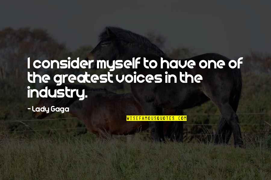 Thanasi Kokkinakis Quotes By Lady Gaga: I consider myself to have one of the