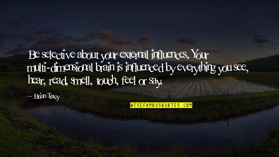 Thanatophobia Quotes By Brian Tracy: Be selective about your external influences. Your multi-dimensional