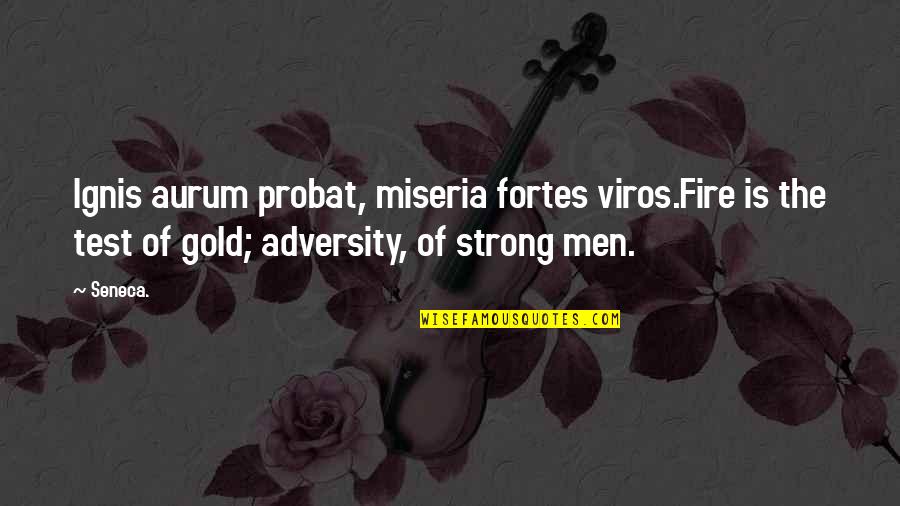 Thank You And Good Luck Quotes By Seneca.: Ignis aurum probat, miseria fortes viros.Fire is the