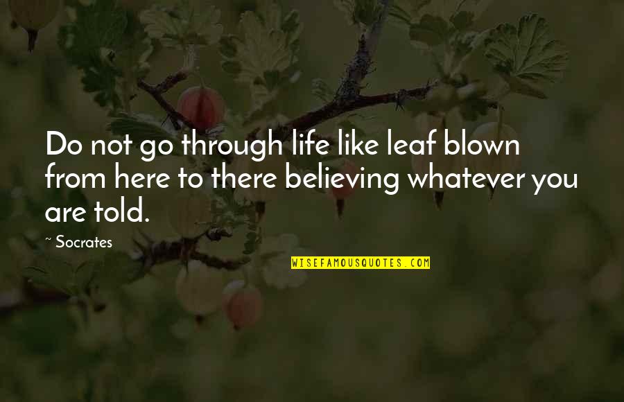 Thank You Dedication Quotes By Socrates: Do not go through life like leaf blown Thank You Dedication Quotes By Socrates: Do not go through life like leaf blown