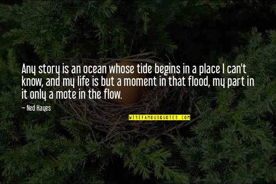 Thank You For Being Here Quotes By Ned Hayes: Any story is an ocean whose tide begins