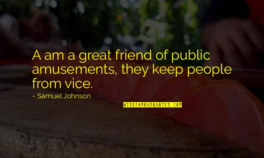 Thank You For Being There Brother Quotes By Samuel Johnson: A am a great friend of public amusements,