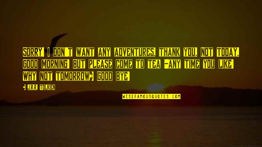 Thank You For Good Time Quotes By J.R.R. Tolkien: Sorry! I don't want any adventures, thank you.