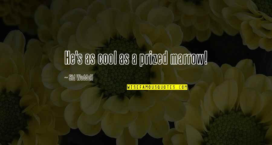 Thank You For Your Beautiful Words Quotes By Sid Waddell: He's as cool as a prized marrow!