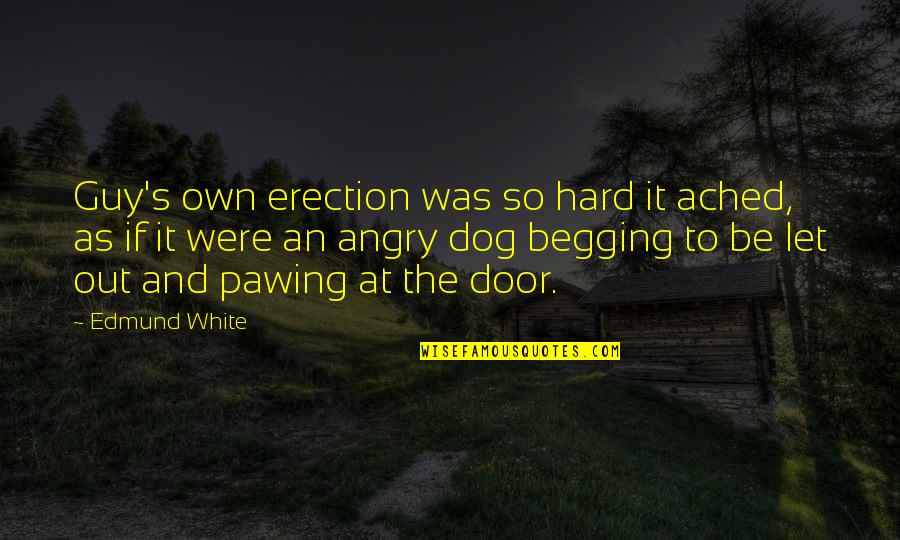 Thank You Lord For Another Month Quotes By Edmund White: Guy's own erection was so hard it ached,