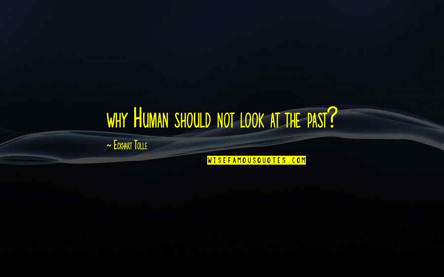 Thank You Miss Lippy Quotes By Eckhart Tolle: why Human should not look at the past?
