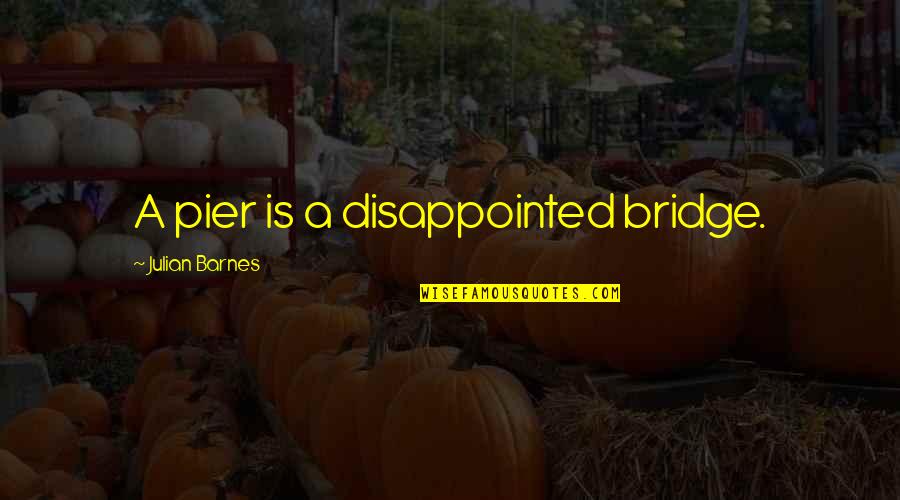 Thank You Trainer Quotes By Julian Barnes: A pier is a disappointed bridge.