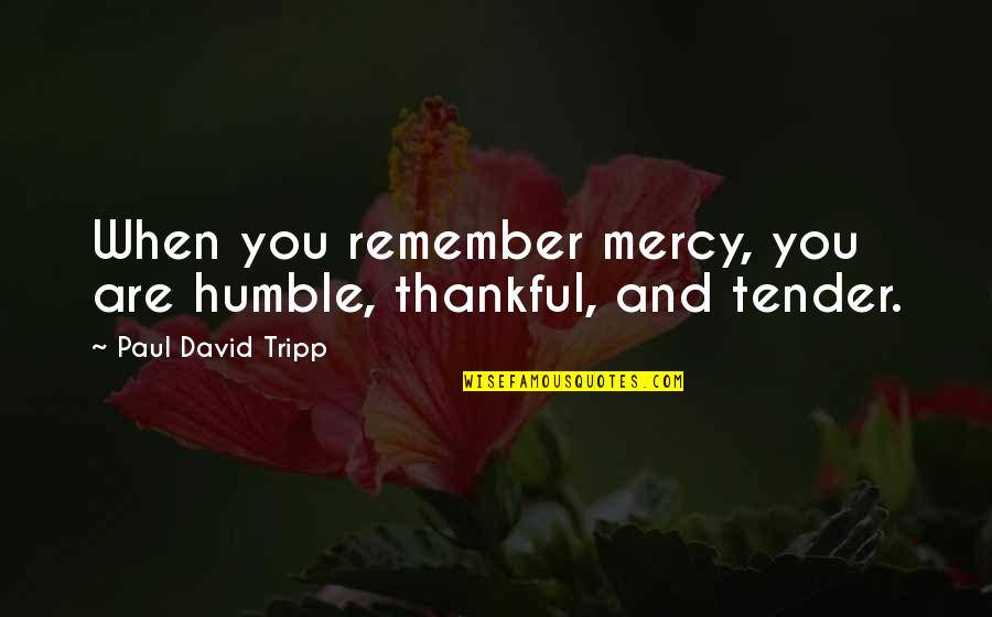 Thankful And Humble Quotes By Paul David Tripp: When you remember mercy, you are humble, thankful,