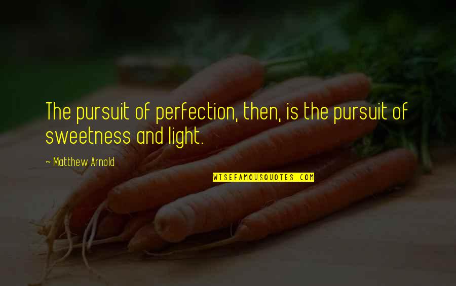 Thankful That I Had You Quotes By Matthew Arnold: The pursuit of perfection, then, is the pursuit