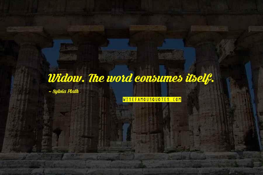 Thankful That I Had You Quotes By Sylvia Plath: Widow. The word consumes itself.