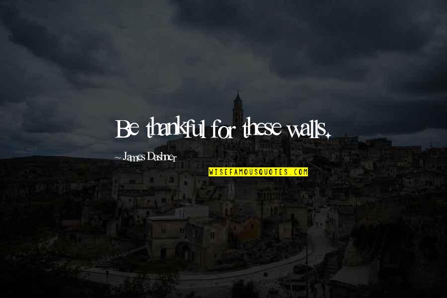 Thankfulness Quotes By James Dashner: Be thankful for these walls.