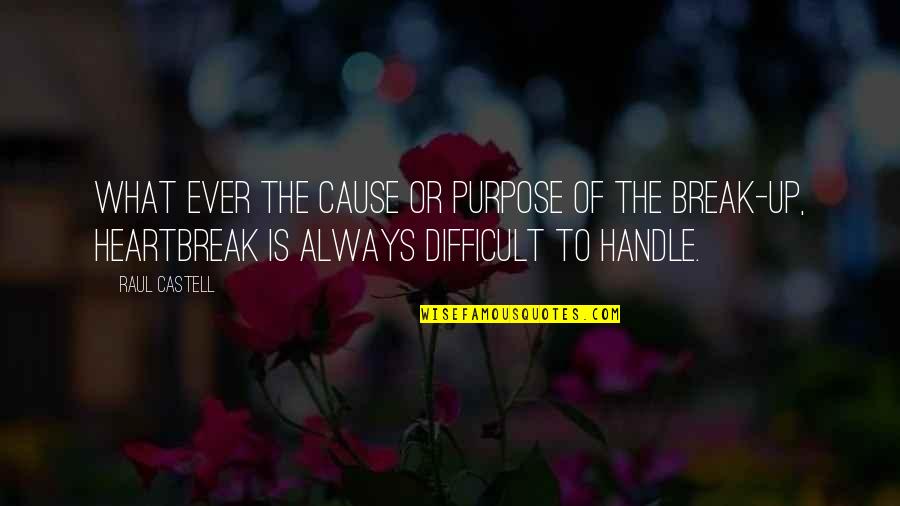 Thanking God For A Beautiful Day Quotes By Raul Castell: what ever the cause or purpose of the