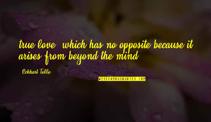 Thanking Lovers Quotes By Eckhart Tolle: true love, which has no opposite because it