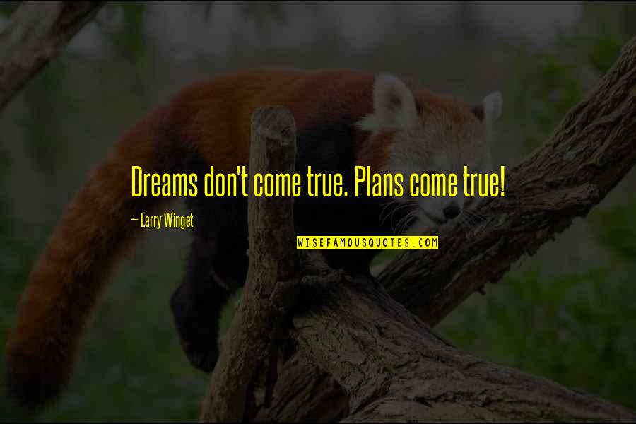 Thanks For The Likes And Comments Quotes By Larry Winget: Dreams don't come true. Plans come true!