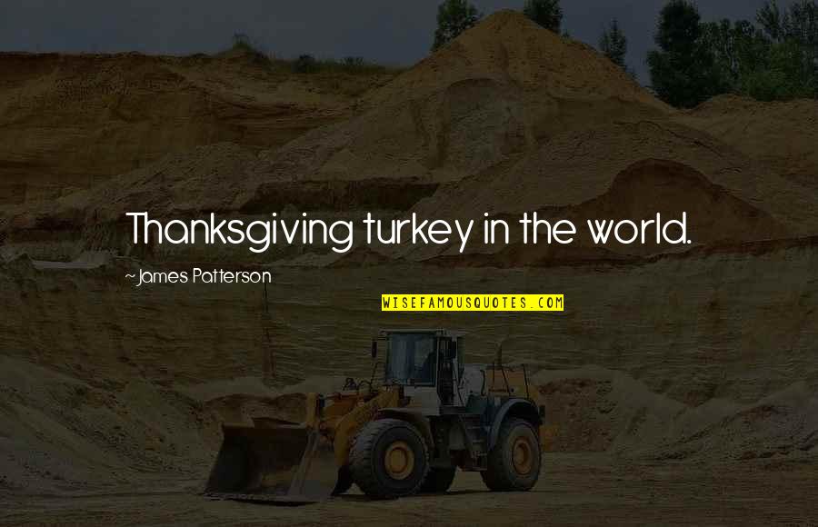 Thanksgiving Turkey Quotes By James Patterson: Thanksgiving turkey in the world.