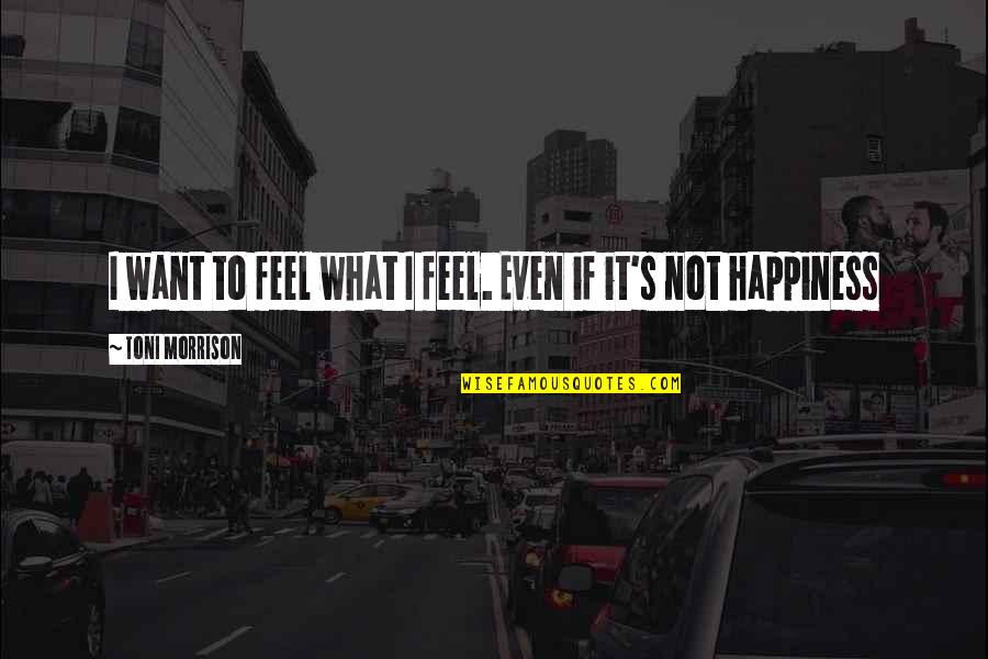 Thanopoulos Kps Quotes By Toni Morrison: I want to feel what I feel. Even Thanopoulos Kps Quotes By Toni Morrison: I want to feel what I feel. Even