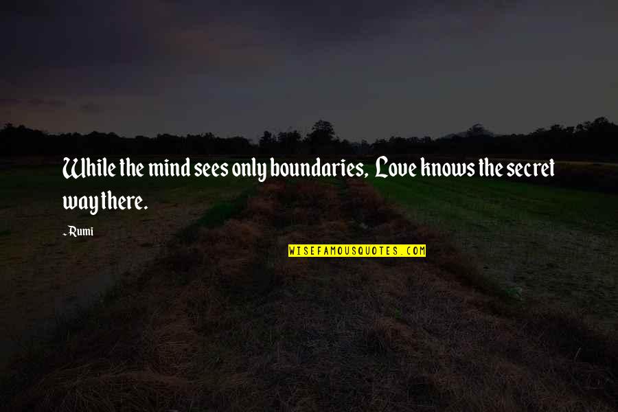 That Awesome Moment Quotes By Rumi: While the mind sees only boundaries, Love knows