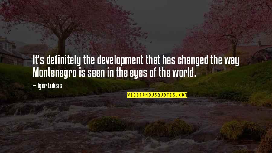 That Eyes Quotes By Igor Luksic: It's definitely the development that has changed the