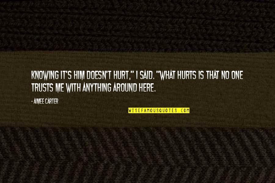 That Hurt Me Quotes By Aimee Carter: Knowing it's him doesn't hurt," I said. "What