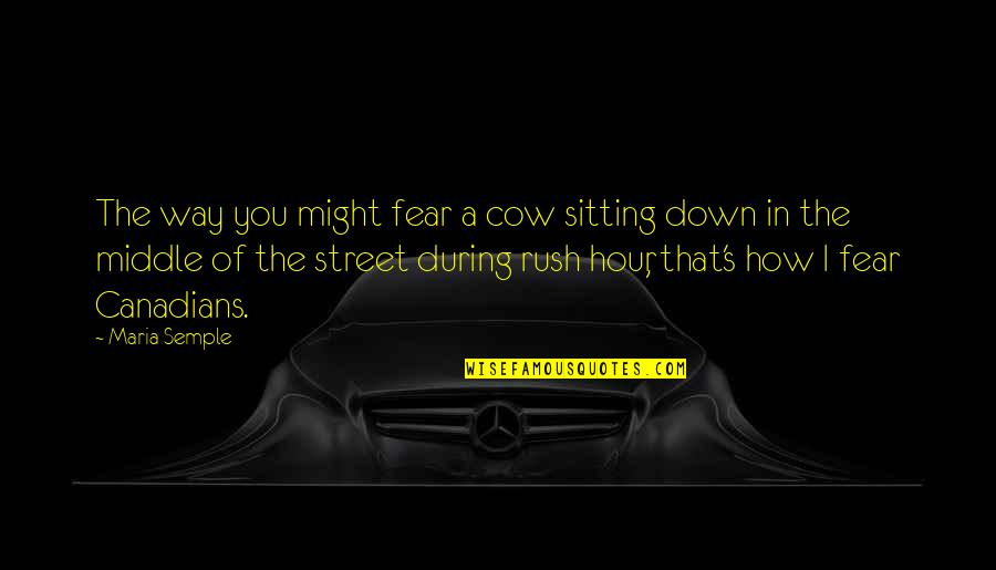 That Is My Fear Funny Quotes By Maria Semple: The way you might fear a cow sitting