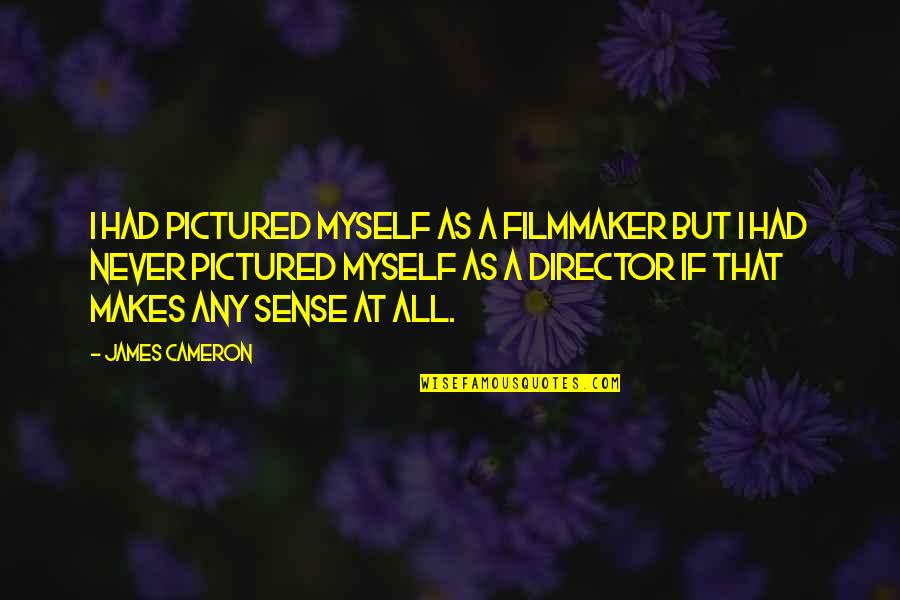 That Makes Sense Quotes By James Cameron: I had pictured myself as a filmmaker but