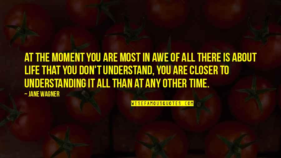 That Moment In Life Quotes By Jane Wagner: At the moment you are most in awe