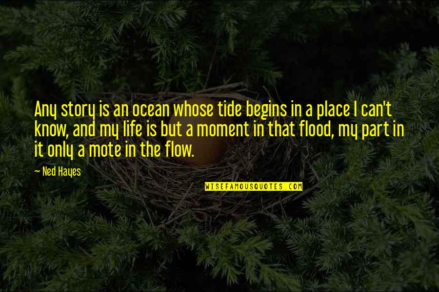 That Moment In Life Quotes By Ned Hayes: Any story is an ocean whose tide begins