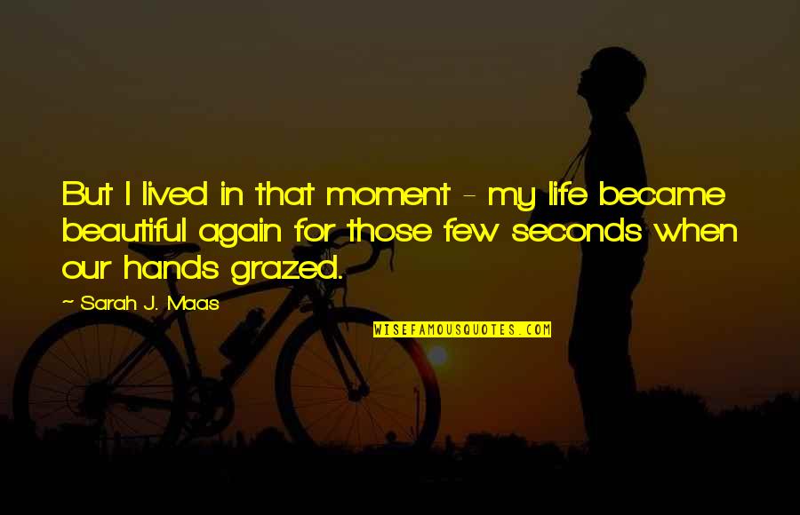 That Moment In Life Quotes By Sarah J. Maas: But I lived in that moment - my