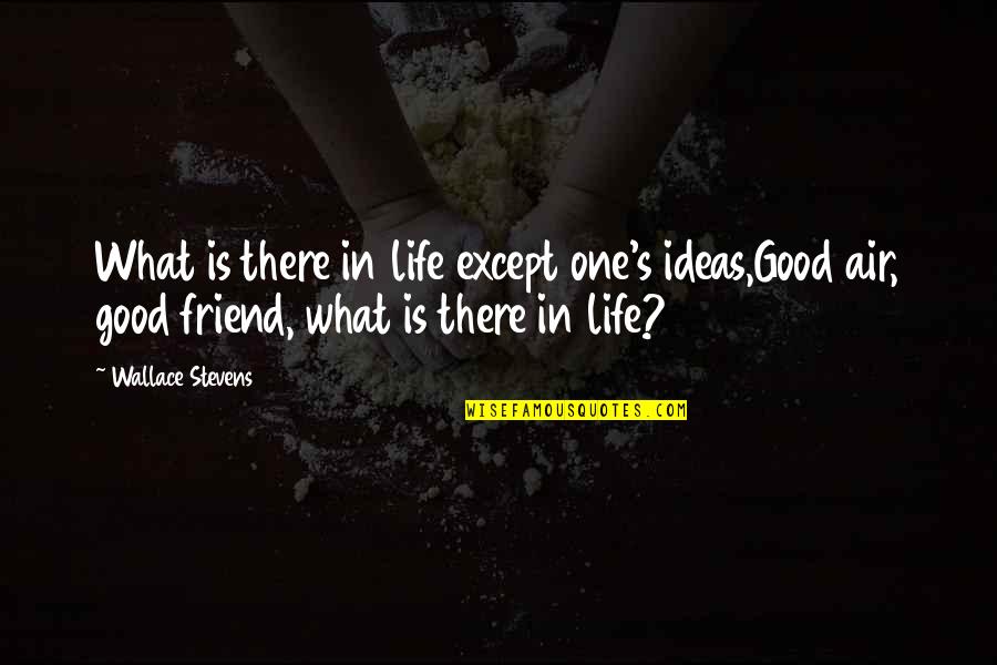 That One Best Friend Quotes By Wallace Stevens: What is there in life except one's ideas,Good